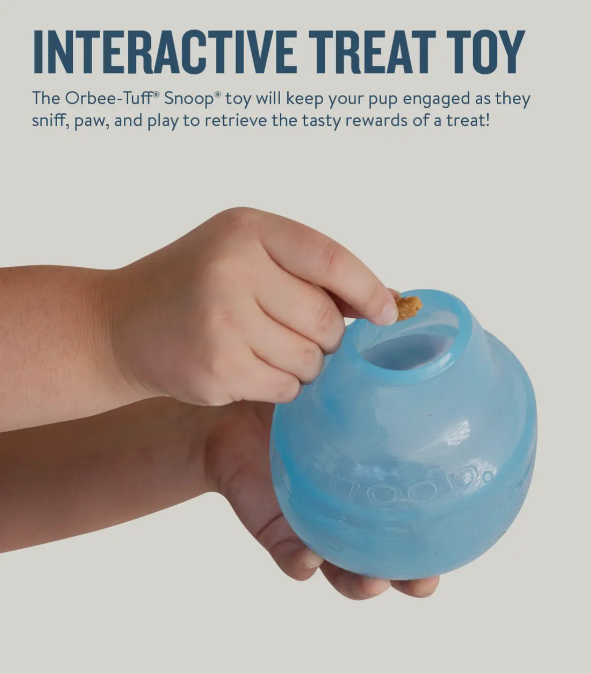 Orbee-Tuff Snoop Treat Dispenser