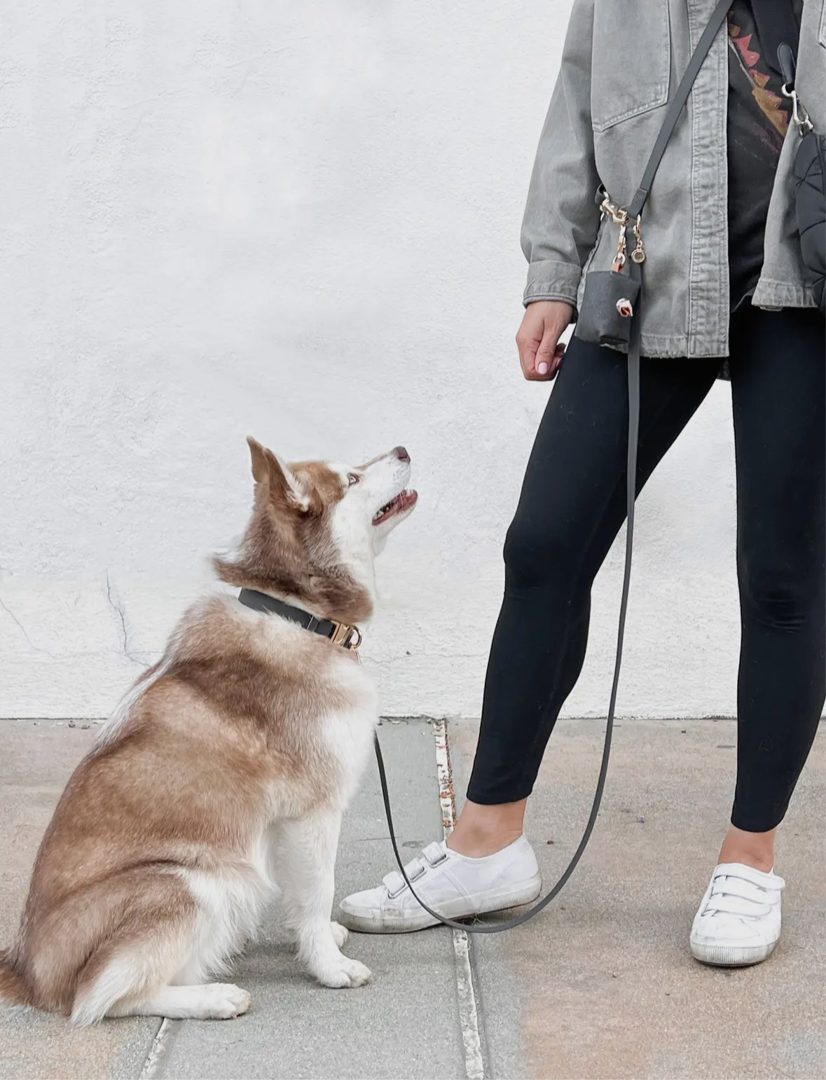 Ember Waterproof Dog Collar