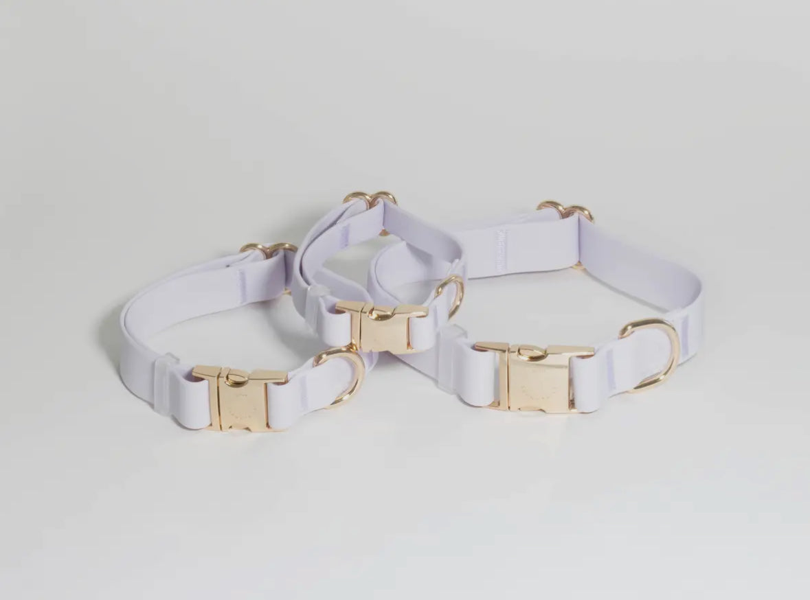 Lavender Haze Waterproof Dog Collar
