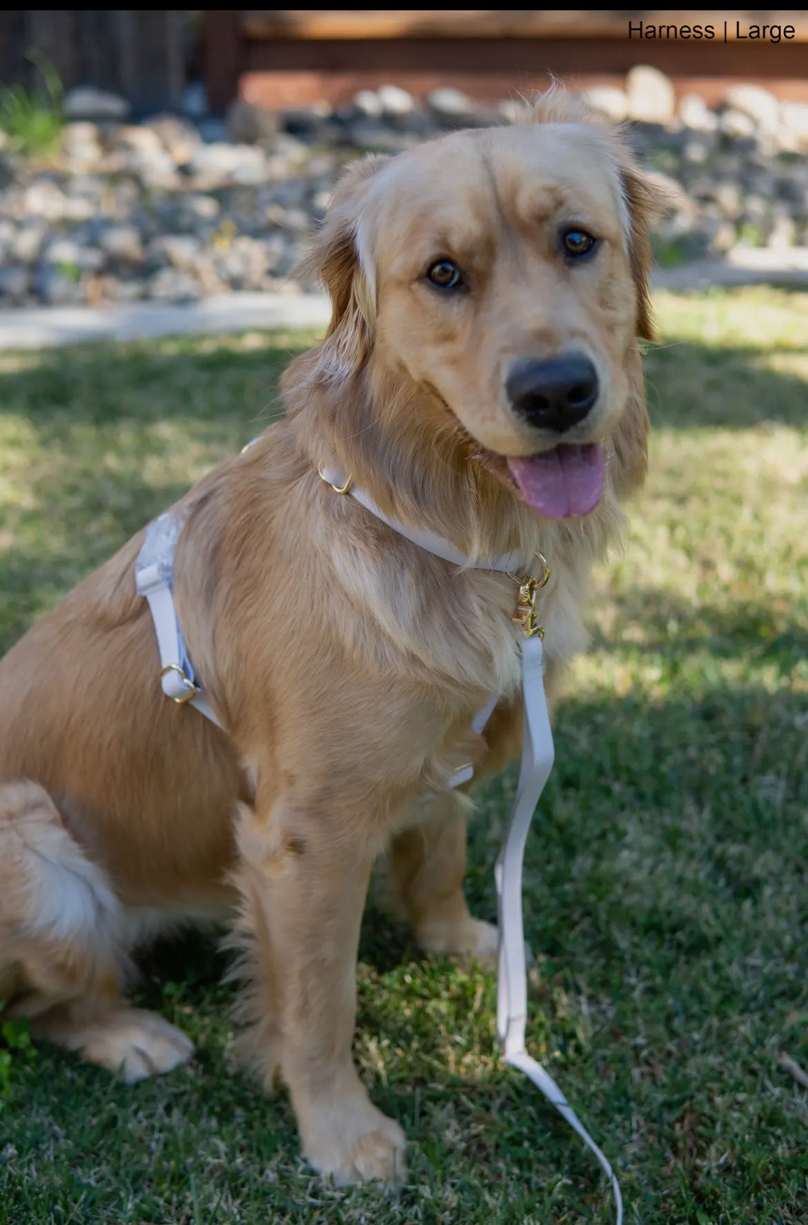 Lavender Haze Cloud Lite Dog Harness