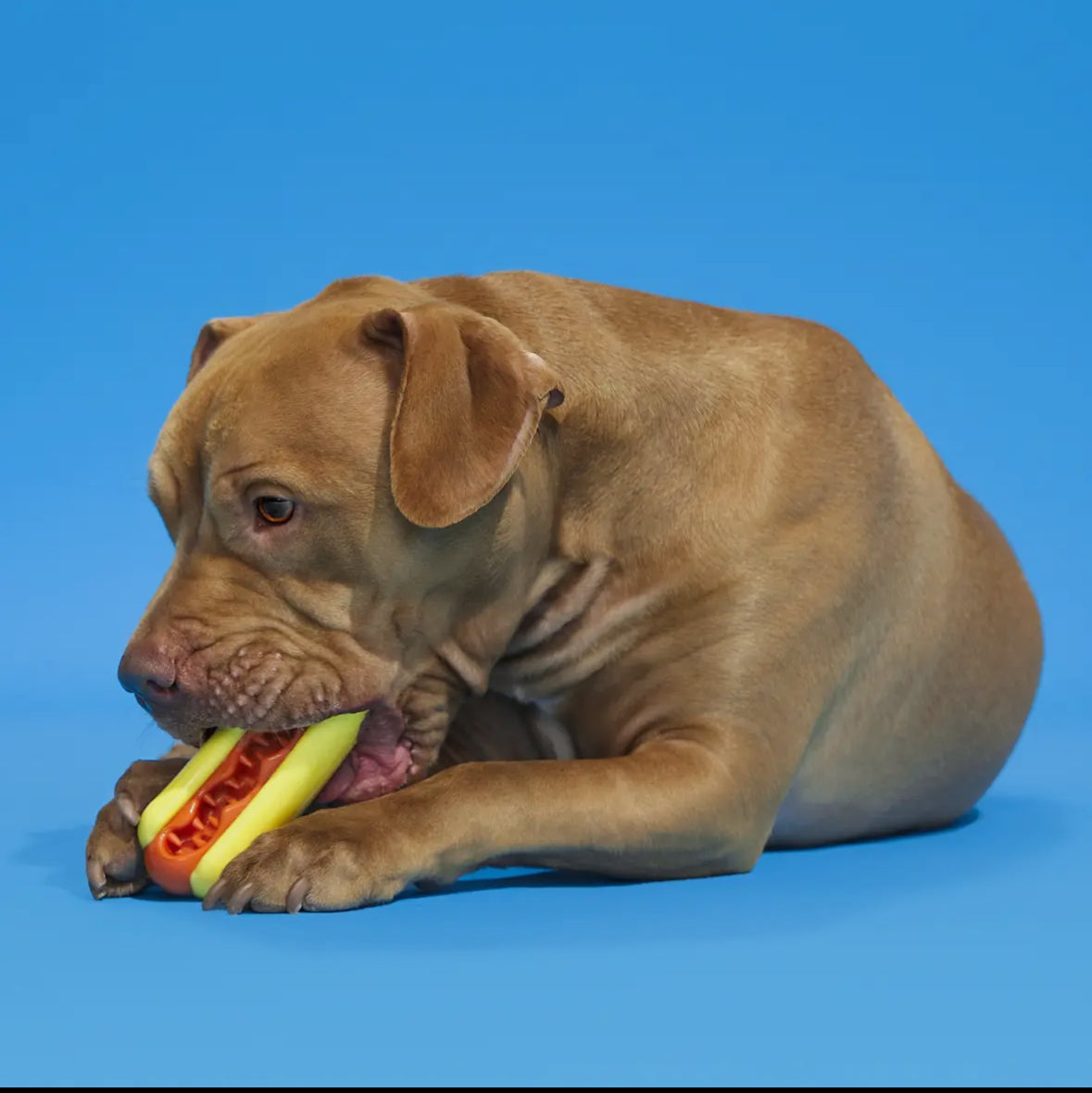 Bark Super Chewer Hot Dog
