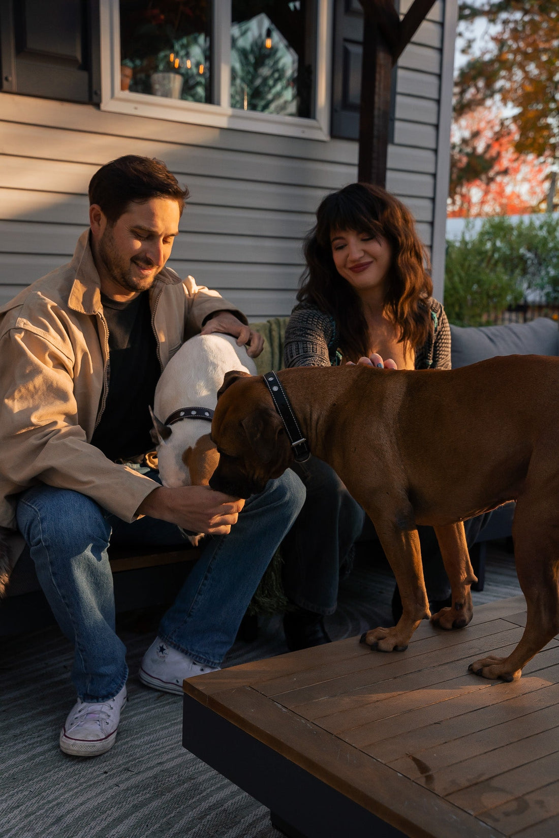 How Dog Enrichment Can Help When You Bring Home a New Baby (+ Pre-Baby Prep Tips)