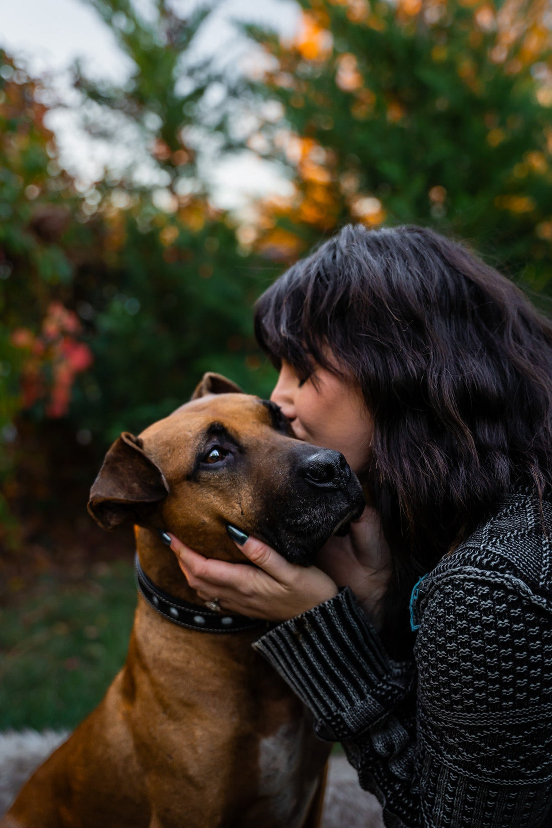 Why Millennials Are Obsessed with Their Dogs: A Cultural Shift Rooted in Connection