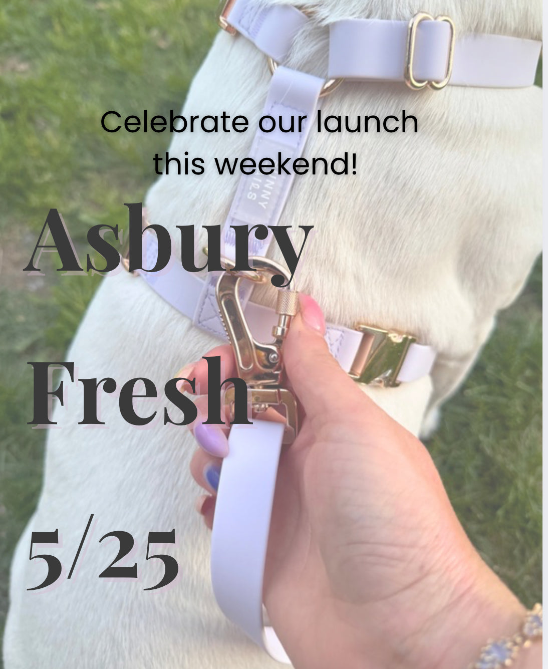 🐾 We’re Launching This Weekend at Asbury Fresh Market! 🐾