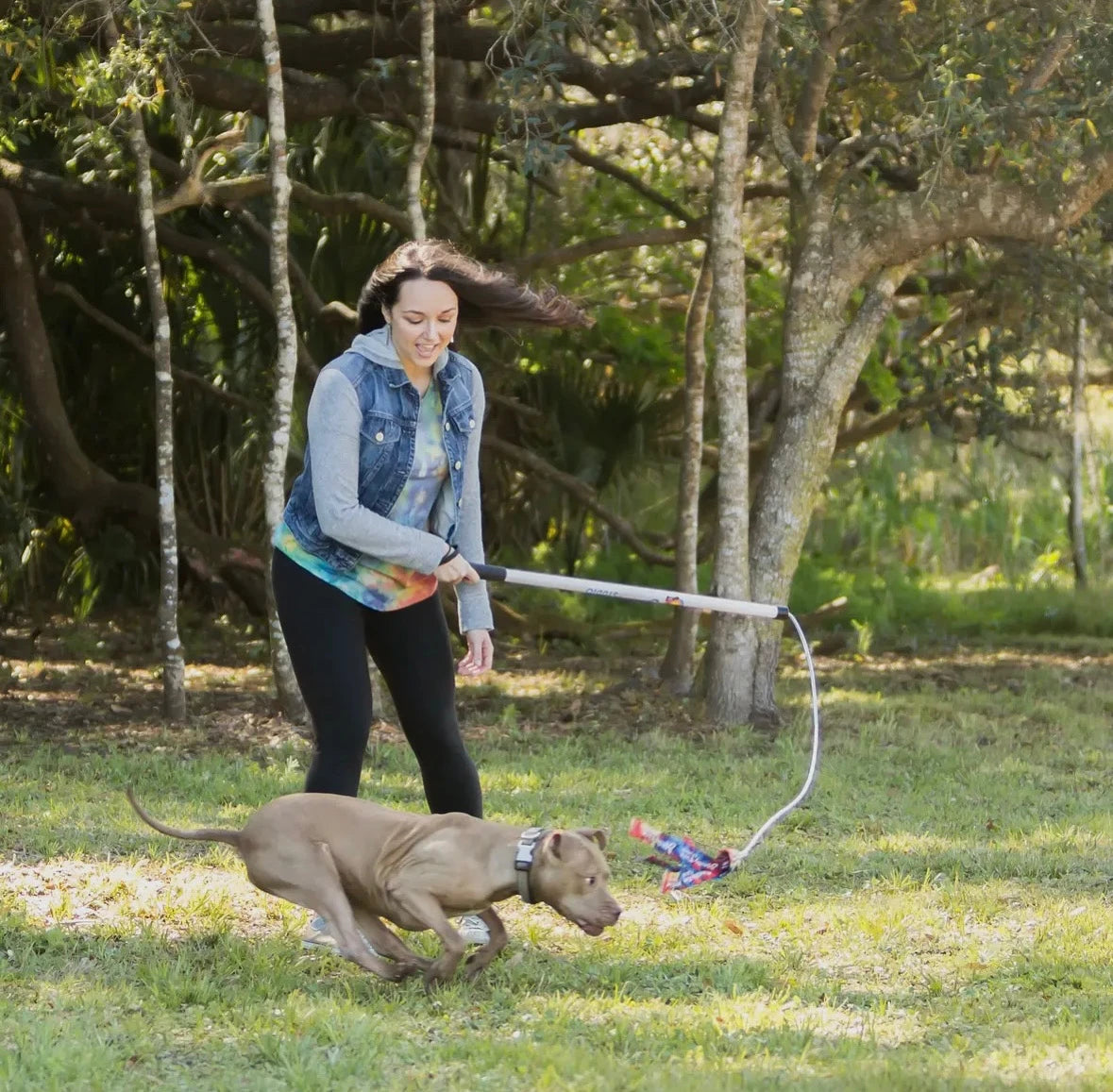 For Active Dogs