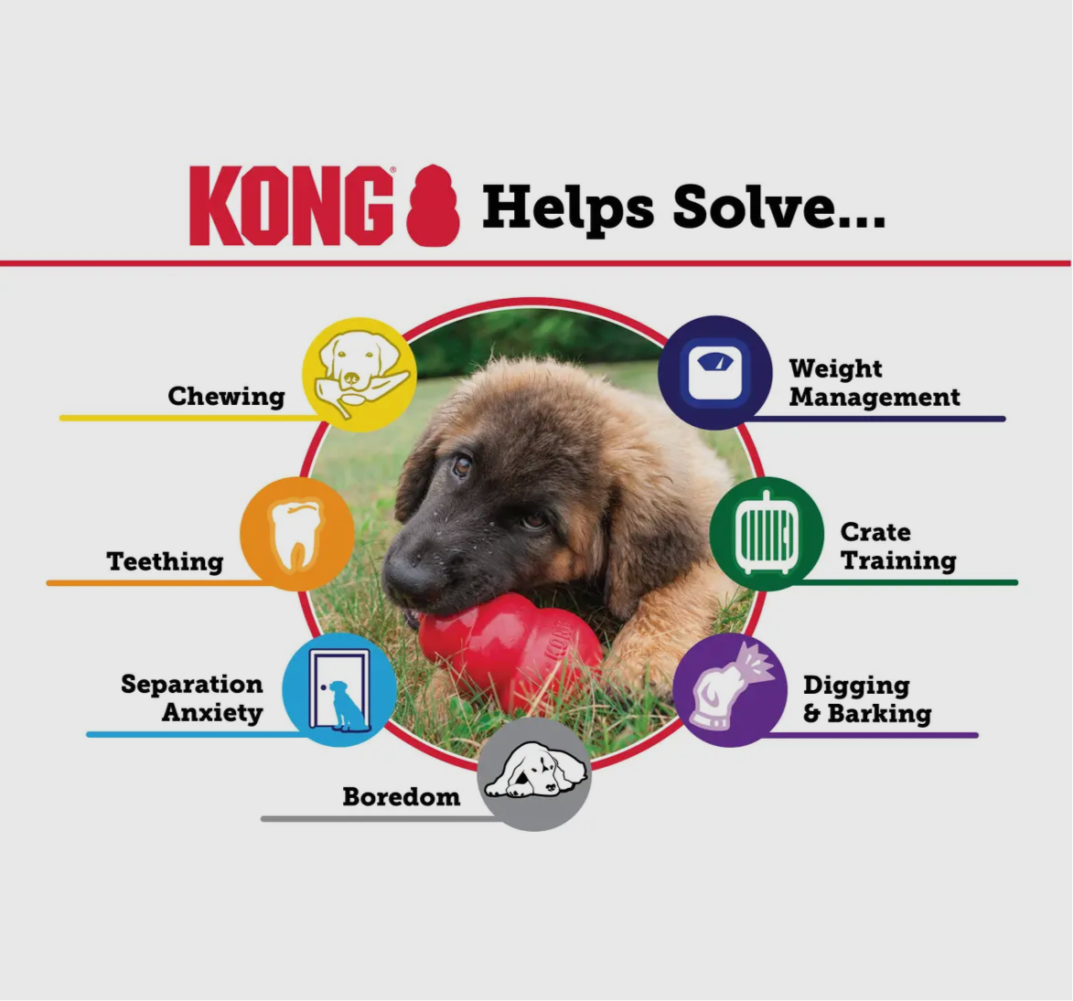 Kong EXTREME Dog Chew