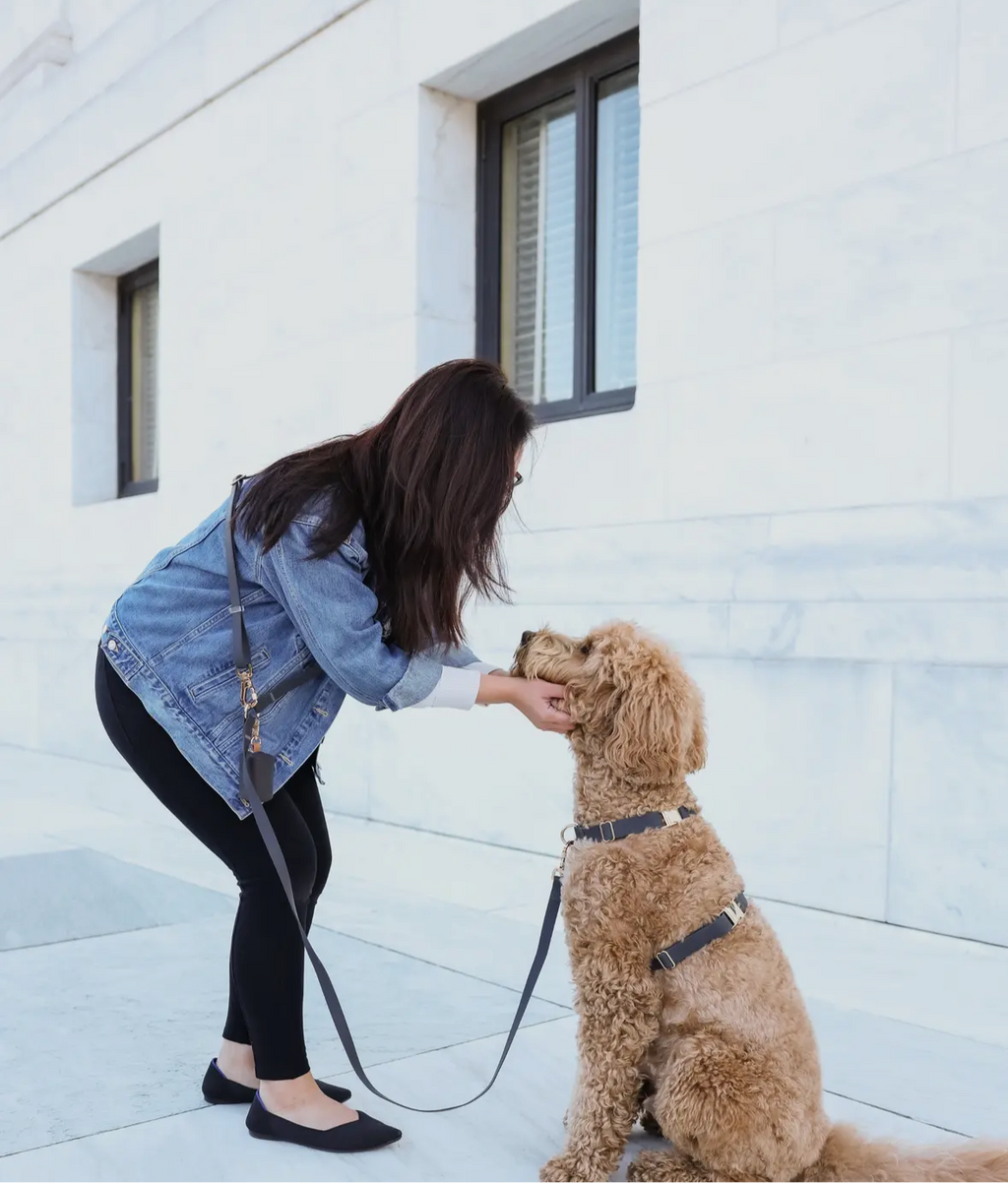 Ember 4-in-1 Convertible Hands Free Leash
