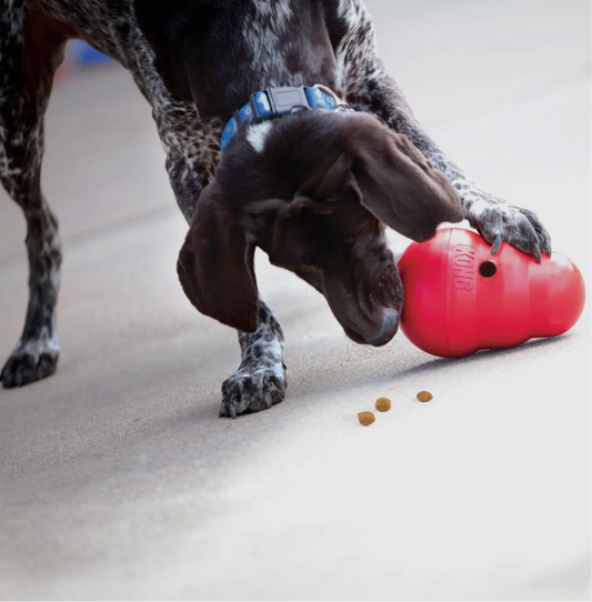 Kong Wobbler Dog Enrichment