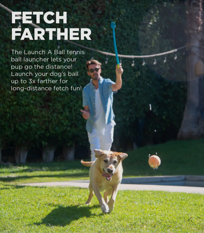 Launch A Ball Squeak