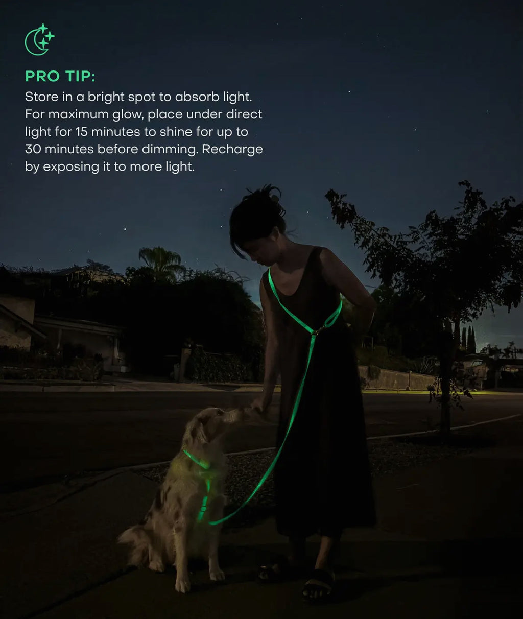 Lunar Glow & Espresso Brown 4-in-1 Convertible Hands Free Cloud Leash
