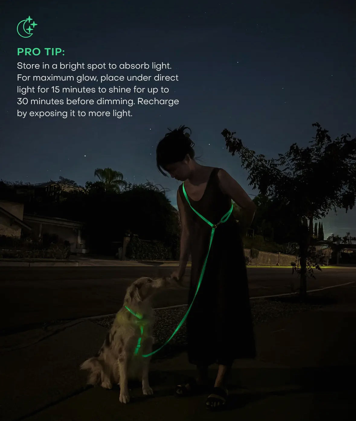 Lunar Glow & Espresso Brown 4-in-1 Convertible Hands Free Cloud Leash