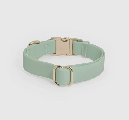 COMING SOON // Pistachio Green Waterproof Dog Collar