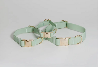 COMING SOON // Pistachio Green Waterproof Dog Collar