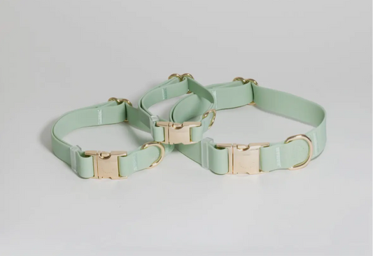 COMING SOON // Pistachio Green Waterproof Dog Collar