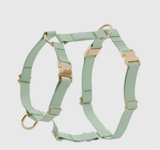 COMING SOON // Pistachio Green Cloud Light Dog Harness