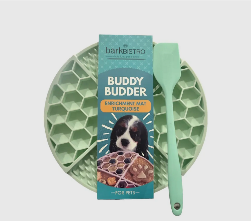 Buddy Budder // Turquoise