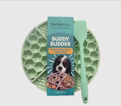Buddy Budder // Turquoise