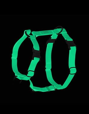 Lunar Glow Cloud Lite Harness
