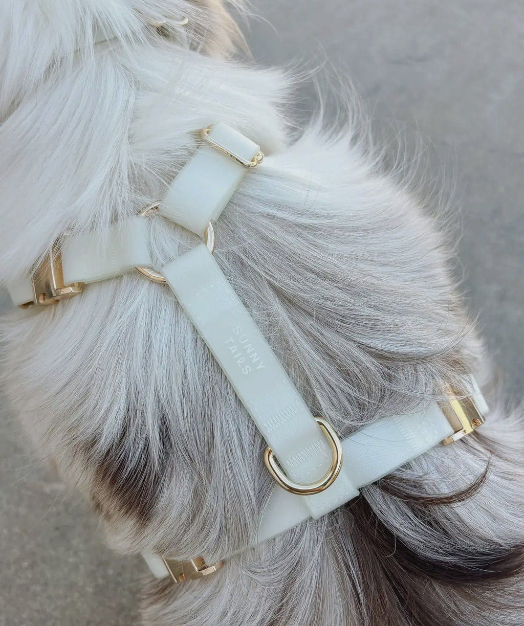 Lunar Glow Cloud Lite Harness