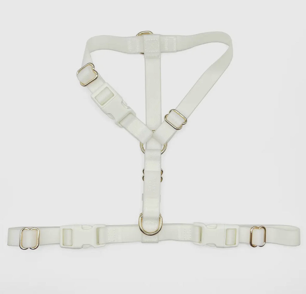 Lunar Glow Cloud Lite Harness