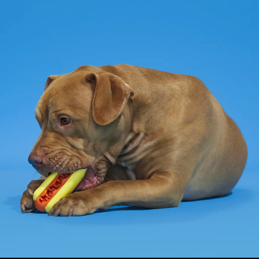 Bark Super Chewer Hot Dog