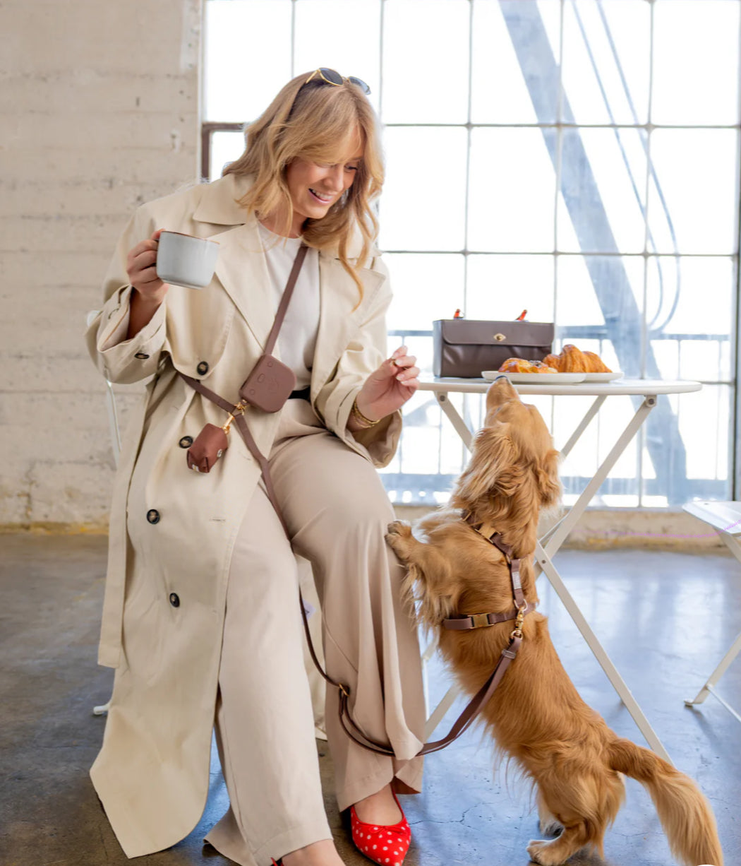 Espresso Cloud Lite Harness