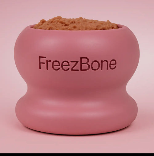 Freezball Large -Pink