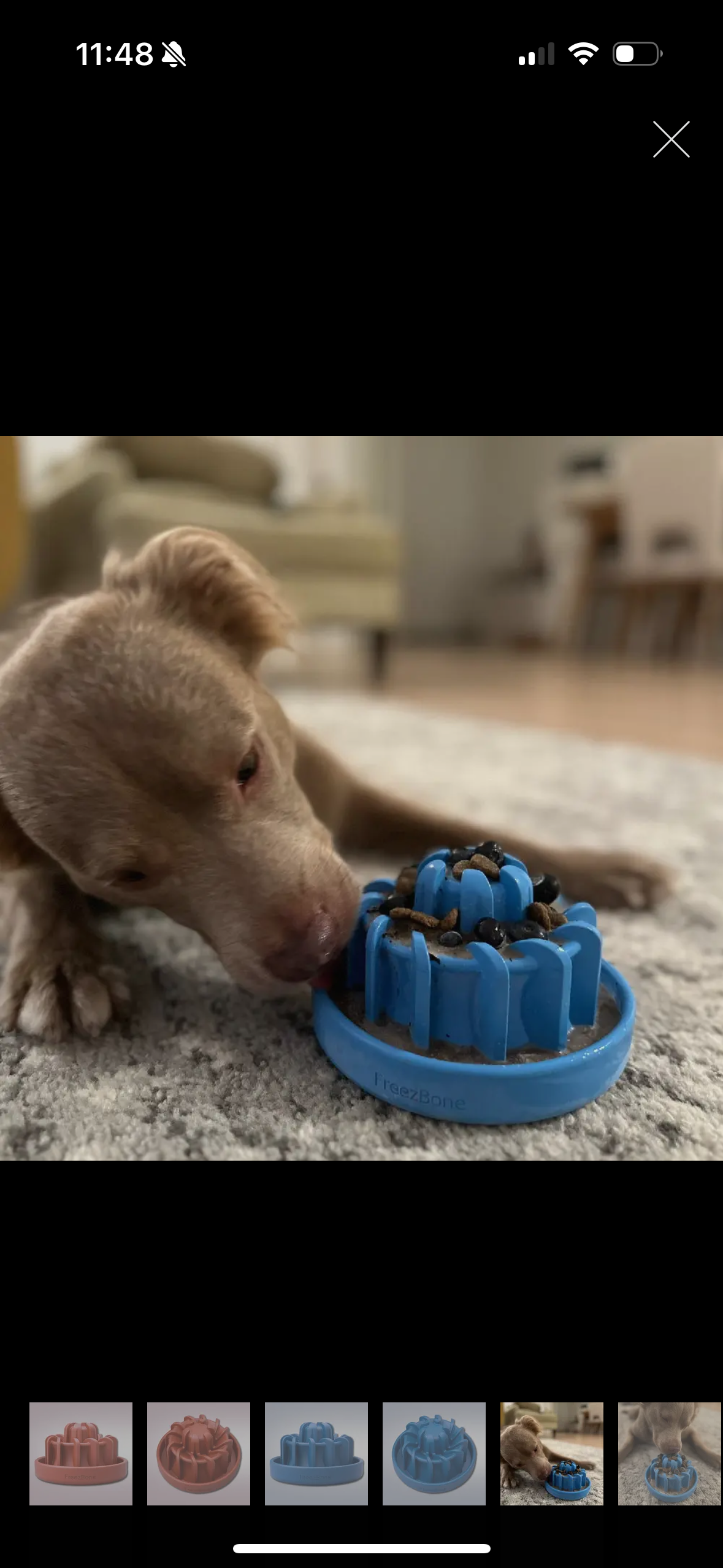 Freeze lava - Versatile Dog Chew Toy