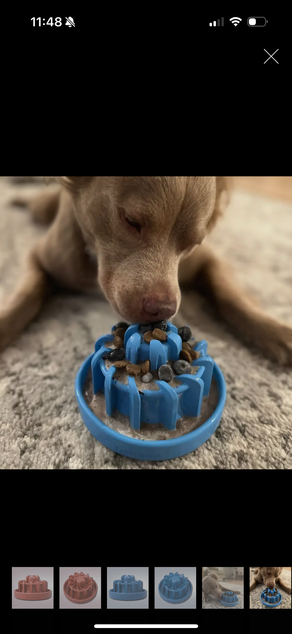Freeze lava - Versatile Dog Chew Toy