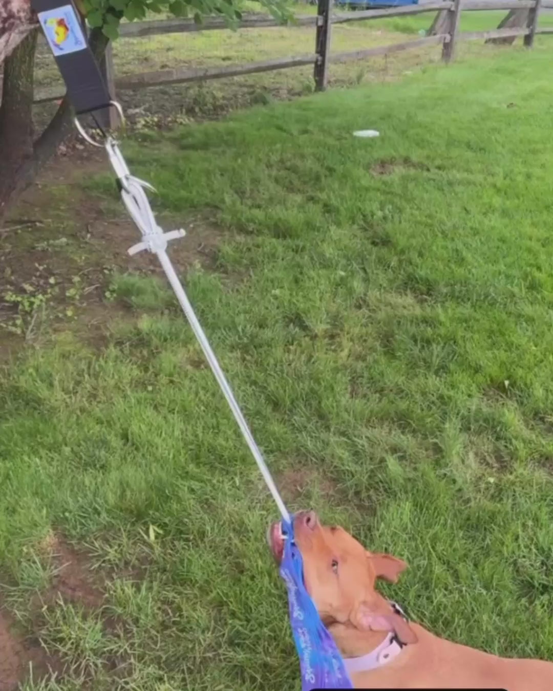 Super Tug Dog Toy