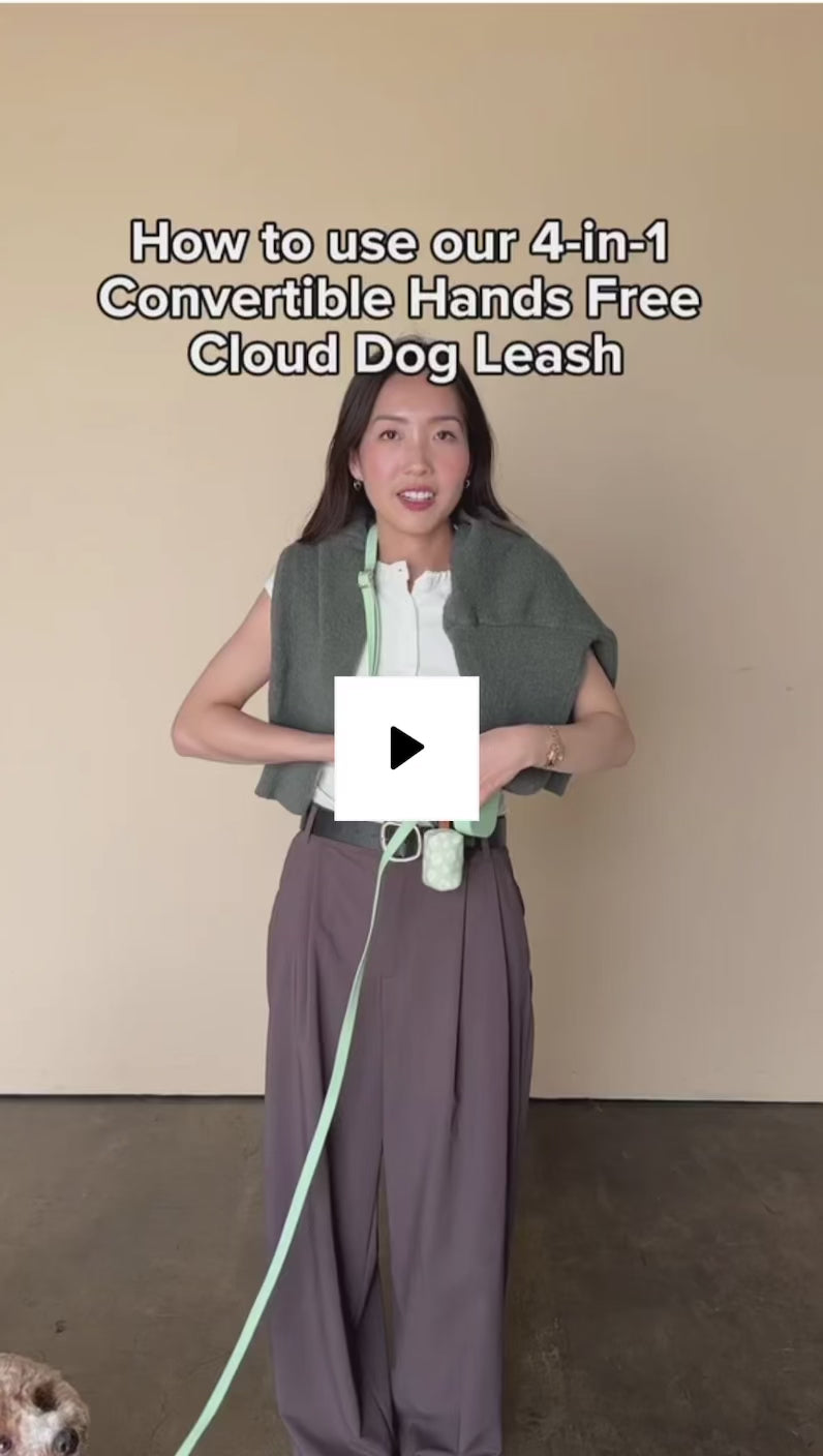 Espresso 4-in-1 Convertible Hands Free Dog Leash